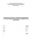 EXTRACCIÓN DE ALCOHOL ETÍLICO A PARTIR DEL BANANO