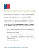 Asesoría pedagógica en la integración de tecnología para establecimientos educacionales subvencionados