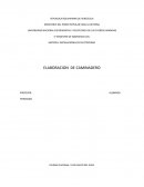 Elaboracion de caminadero