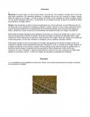 Fundamentos del color. Resultados