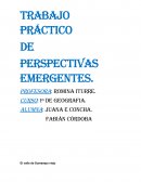 TRABAJO PRÁCTICO DE perspectivas emergentes