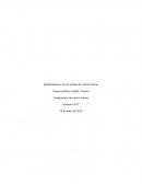Implementación de un sistema de control interno tarea 8 iacc