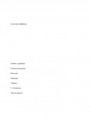 Tipo de negocio: Plan de empresa