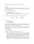 Determinación de Perdidas magnéticas y eléctricas en un transformador