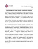 La moda enfocada en su impacto en el medio ambiente