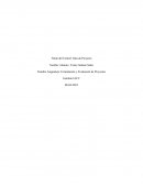 Título del Control: Idea de Proyecto. Formulación y Evaluación de Proyectos