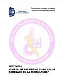 PROTOCOLO “CHILES EN ESCABECHE COMO VALOR AGREGADO EN LA AGRICULTURA”