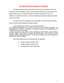 La importancia de los padres en la infancia