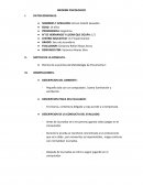 Informe Psicologico Bender