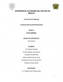 UNIDAD DE APRENDIZAJE: Ética General