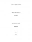 Trabajo de seguridad informática. Cuidado de seguridad informática