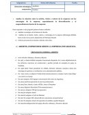 Dirección estratégica corporativa. Abertis, emprender desde la empresa establecida
