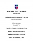 Educación física y nutrición deportiva. Proceso fisiológico de la nutrición y dos guías nutricionales básicas