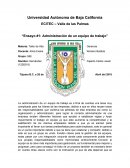Ensayo. Administración de un equipo de trabajo