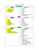 DIETA PARA COLON IRRITABLE