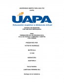 TERMINACIÓN DE LAS PRUEBAS EN EL CICLO DE VENTAS Y COBRANZA: CUENTAS POR COBRAR