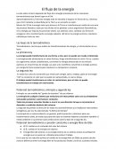 Resumen curtis el flujo de la energia