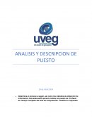 ANÁLISIS Y DESCRIPCIÓN DE PUESTOS 2 Profesor de Tiempo Completo del área de Computación