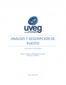 ANALISIS Y DESCRIPCION DE PUESTO La entrevista y la observación