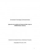 Evaluación del Impacto Social y Ambiental de Proyectos