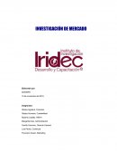 Propuesta de mercado empresa IRIDEC.LTDA