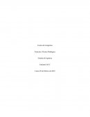 Tarea semana 4 logistica