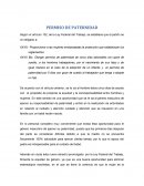 PERMISO DE PATERNIDAD