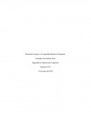Elementos de apoyo a la seguridad durante el transporte