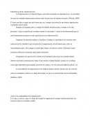 Importancia de las organizaciones