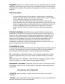 Fotografía. Dibujar con luz