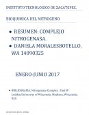 BIOQUIMICA DEL NITROGENO. COMPLEJO NITROGENASA