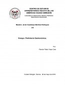 Prehistoria Gastronómica