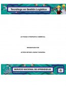 Actividad Propuesta comercial
