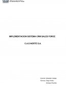 IMPLEMENTACION SISTEMA CRM SALES FORCE C.A.S NORTE S.A.