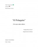 El polaquito