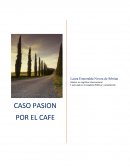 La Pasion del cafe - caso practico