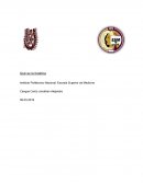 Qué es la bioética. Metodología