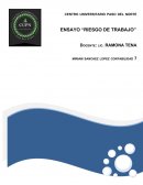 Riesgo de trabajo. Ley de Seguridad Social