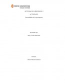 ACTIVIDAD II Generalidades de los presupuestos