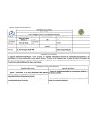 ANEXO A. FORMATO DE PLAN ANALÍTICO