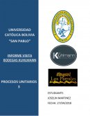 INFORME VISITA BODEGAS KUHLMAN