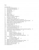 FACTORES QUE INFLUYEN EN LA TOMA DE DECISIÓN EN LA LOCALIZACIÓN Y UBICACIÓN DE UNA PLANTA INDUSTRIAL