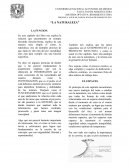 Resumen Javier Senosiain