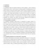Resumen carbohidratos (CHO)