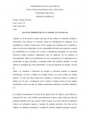 BALANCE TÉRMICO DE UNA CALDERA ACUATUBULAR