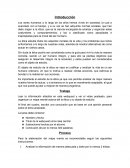 WebQuest sobre etica