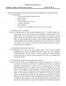 Informe de Laboratorio Nº1 Niña