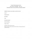 Reforzando nuevos hábitos a nuestros hijos e hijas