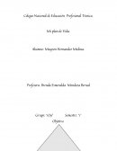 Plan de vida, Trabajar en Una empresa