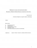 MalaImagen: La cláusula como manifestación paródica